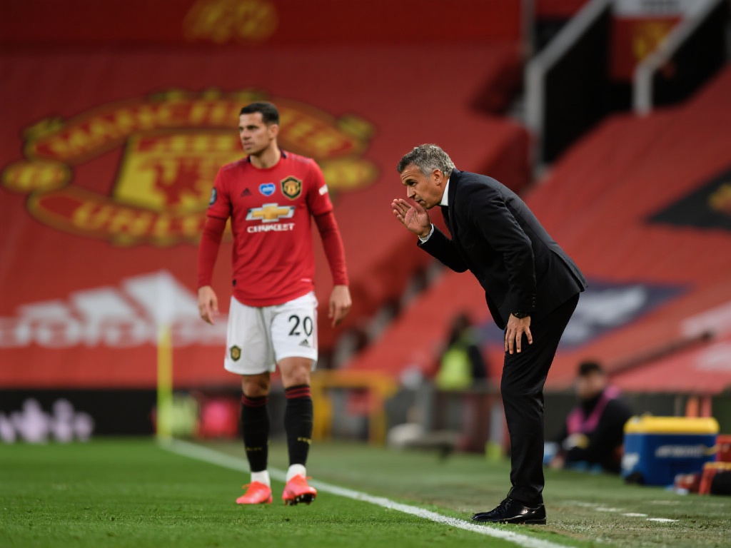 德国队在世 德国队在世